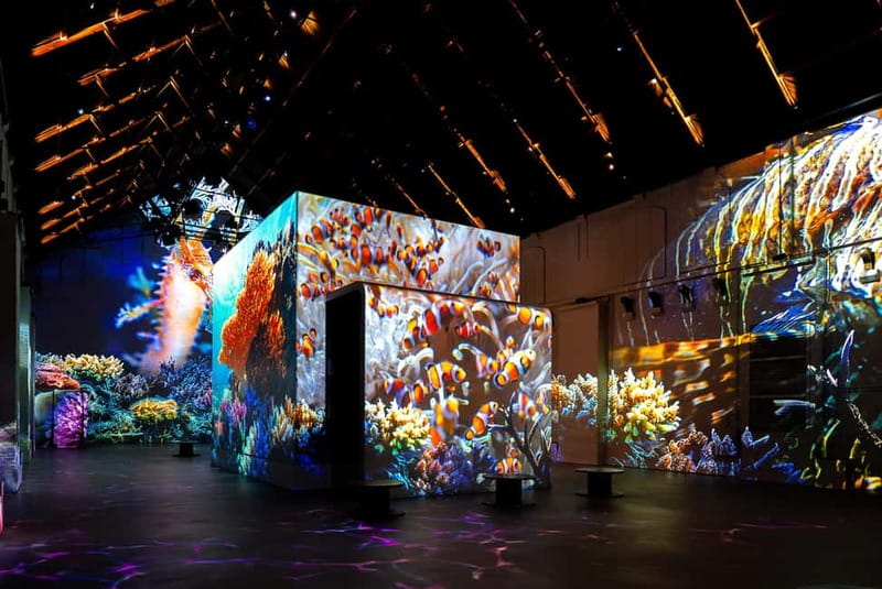 Amsterdam: Prehistoric Planet Immersive Experience Ticket - What happens inside: from volcanoes to oceans to prehistoric craters