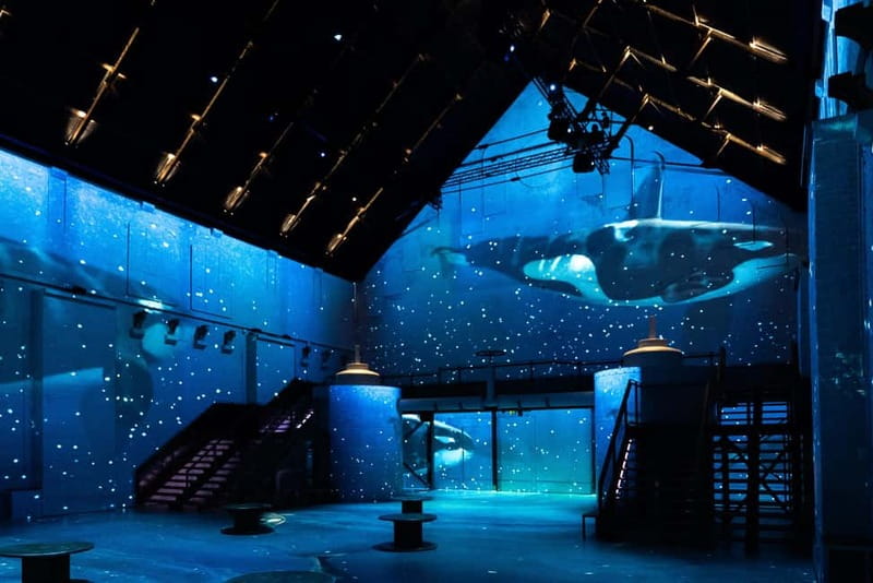 Amsterdam: Prehistoric Planet Immersive Experience Ticket - Ticket value and timing: why that 50 minutes is a big deal