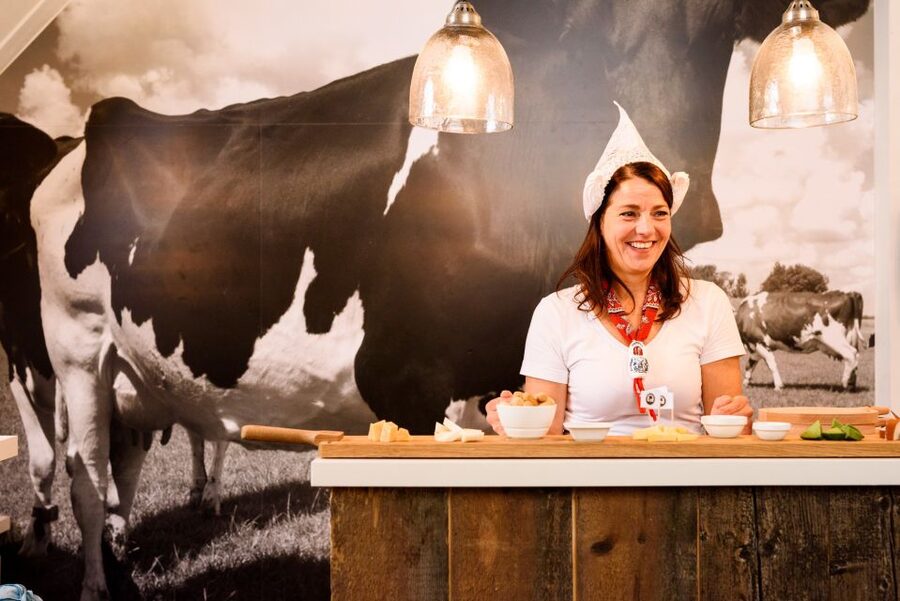 Amsterdam: Premium Henri Willig Cheese Tasting Experience - The Cheese Lineup: What the 10 Pieces Taste Like (and How to Order Your Attention)