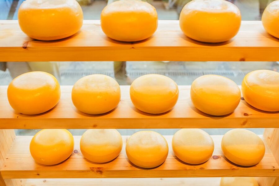 Amsterdam: Premium Henri Willig Cheese Tasting Experience - Location and Timing: Why 40–60 Minutes Fits Amsterdam