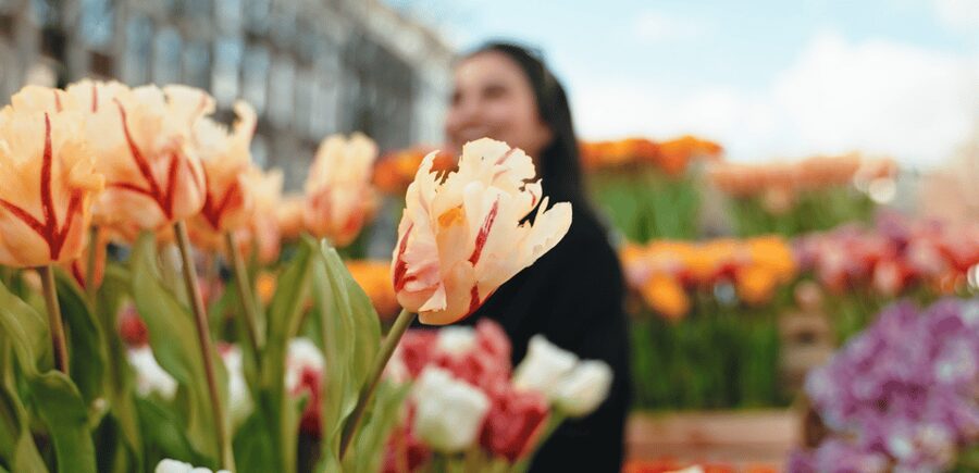Amsterdam: Premium Tulip Boat Canal Tour - Inside the tulip-filled boat: photos, flowers, and the onboard bar