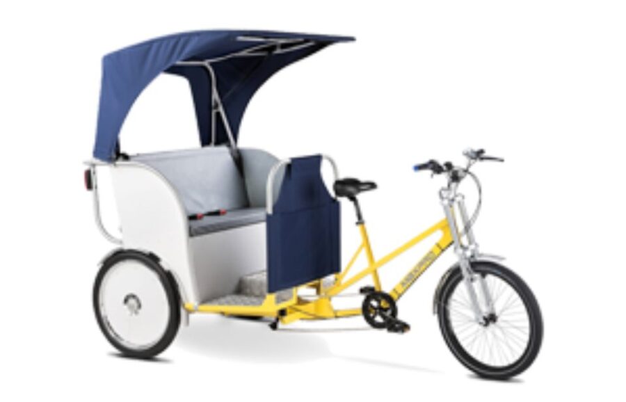 Amsterdam: Private Guided City Tour by Pedicab - Munttoren and the Flower Market: the Dutch vibe in one ride