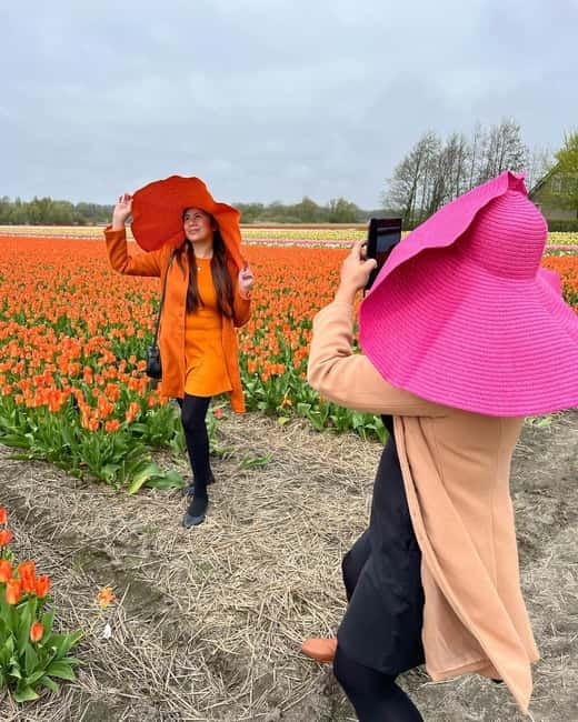 Amsterdam: Private Keukenhof and Free Tulip Tour - Keukenhof gardens: using your free time without getting lost in the crowd