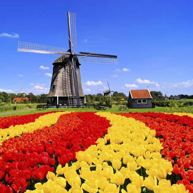 Amsterdam: Private Keukenhof and Free Tulip Tour - How long is this day, really? Timing for Keukenhof plus tulip-field pictures