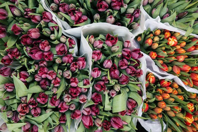 Amsterdam Private Tour: Highlights & Hidden Gems by Bike or Foot - Picking Beursplein: a private guide and your flexible start time