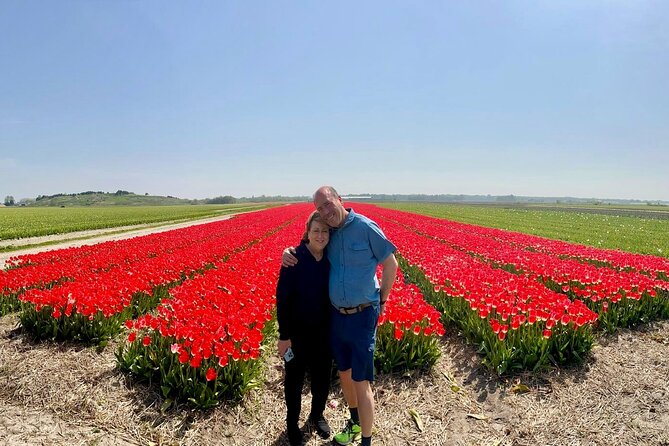 Amsterdam Private Tour to Keukenhof, Tulip Fields and Windmills - Private day trip value: less stress, more tulip time