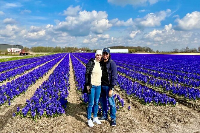 Amsterdam Private Tour to Keukenhof, Tulip Fields and Windmills - Price and what you’re really paying for ($391.56 per person)