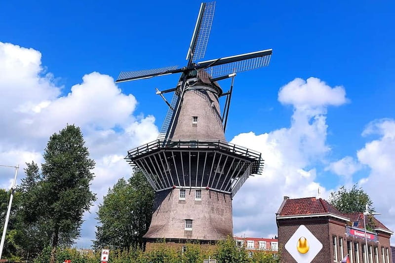 Amsterdam: Private Tour with Local Guide (French or English) - Museum Targets Without the Ticket Stress