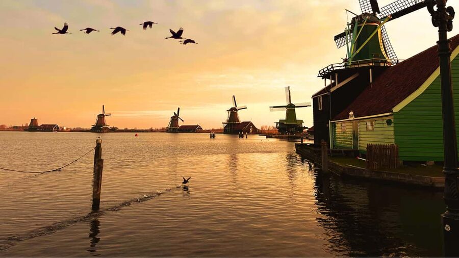 Amsterdam : Private Tour Zaanse Schans - Key things you’ll notice on this tour