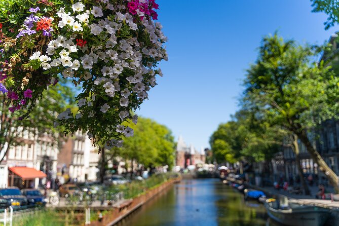 Amsterdam Private Walking Tour - How This Private Walking Tour Gets You Oriented in 2–3 Hours