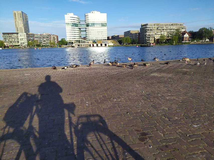 Amsterdam: Rainbow Rural Bike Tour With Local Gay Guide - Ferry Ride Back: Skyline Views That Make the Distance Worth It
