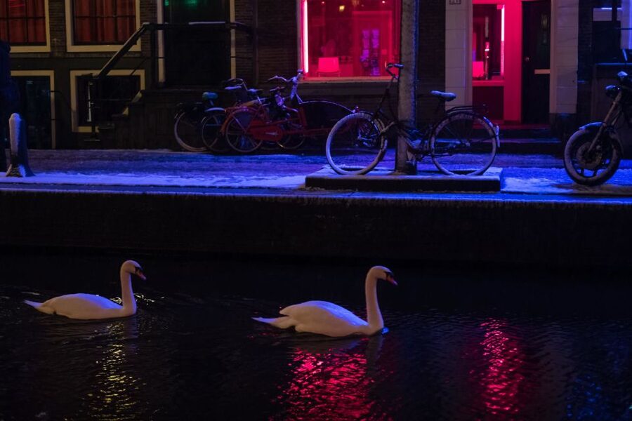 Amsterdam: Red Light District and Coffeeshop Culture Tour - Quick hits you’ll feel in the first 10 minutes