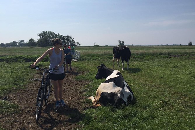 Amsterdam's Countryside Half-Day Bike Tour in Small Group - Why Waterland feels like the real Netherlands