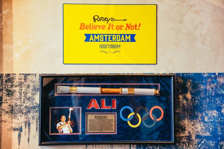 Amsterdam's Weirdest Museum: Ripley's Believe It or Not! - Photo spots and filming rules: how to get great shots without hassle