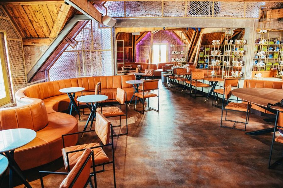 Amsterdam's Weirdest Museum: Ripley's Believe It or Not! - Beyond the main attractions: themed rooms that keep it from feeling repetitive