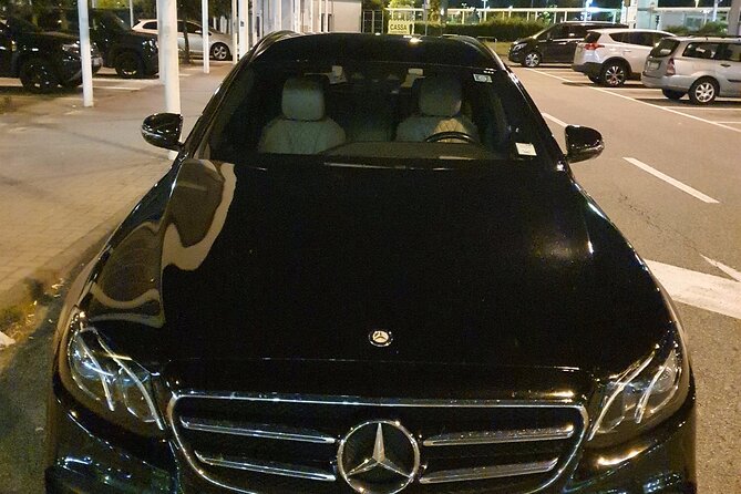 Amsterdam Schiphol Airport (AMS) to Amsterdam - Arrival Private Transfer - Your Hotel Drop-Off: Less Stress, More First-Day Amsterdam