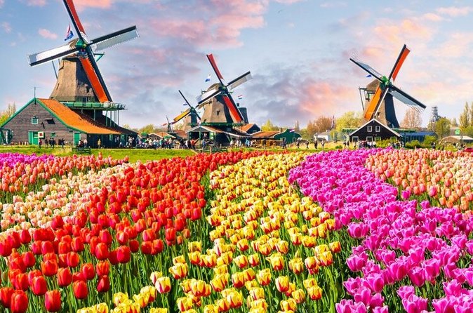 Amsterdam Self-Guided Audio Tour - Body Worlds and Amsterdam’s most famous squares