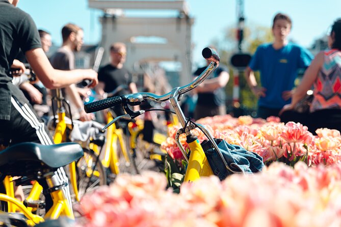 Amsterdam Small Group Bike Tour - Quick hits before you go