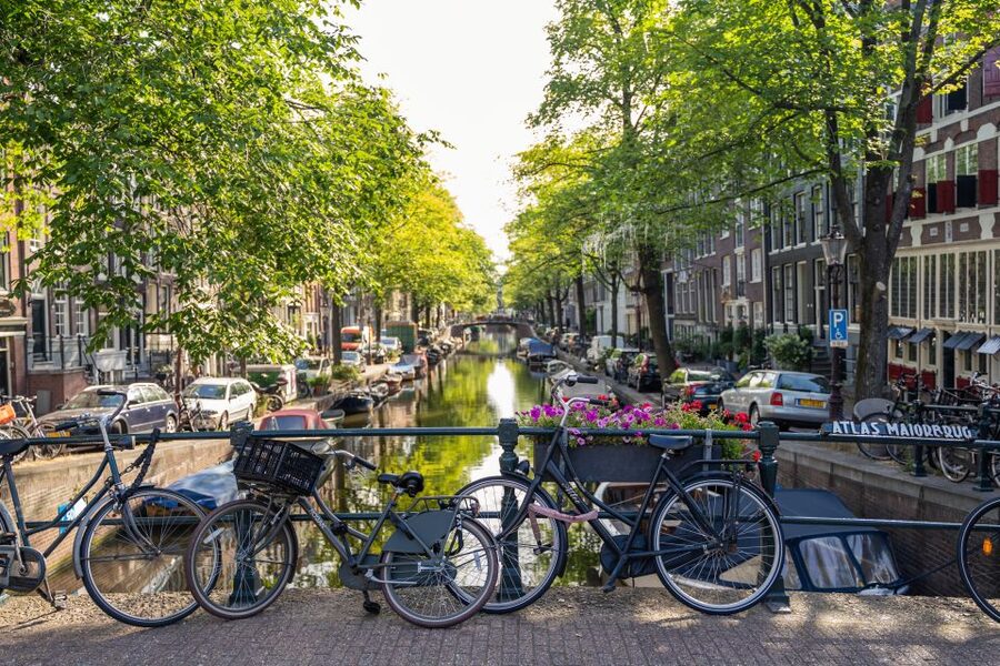 Amsterdam Small-Group Walking Tour - Golden Age wealth meets hard truths about the Red Light District