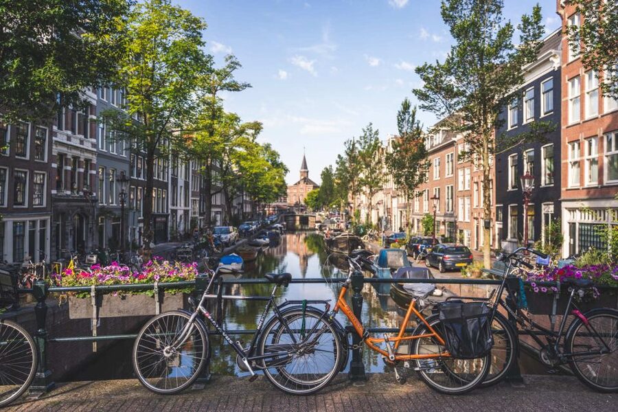 Amsterdam Small-Group Walking Tour - Price and what you actually get for $20