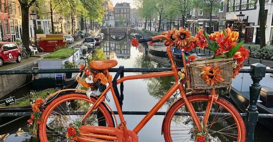 Amsterdam: Small Group Walking Tour with Fun Guide - Meeting at Dam Square: a smart start point