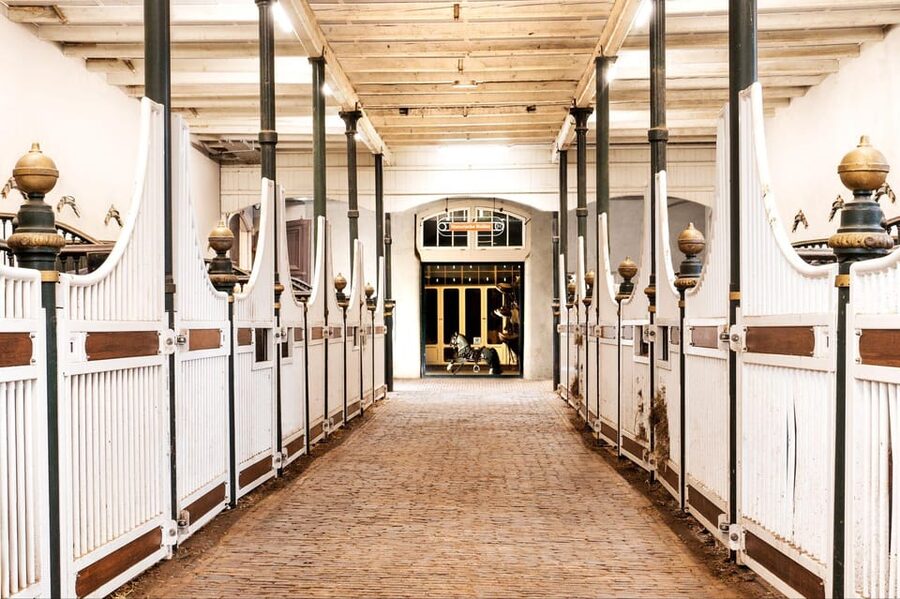 Amsterdam: The 'Hollandsche Manege' Stables Entry Ticket - Entering the Hollandsche Manege: Architecture That Feels Like It’s Still in Use