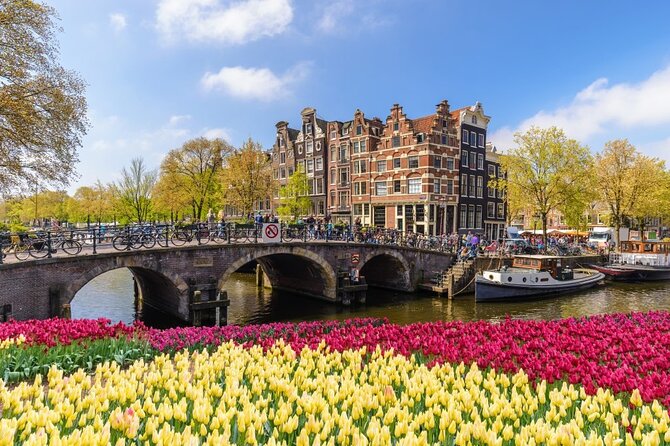 Amsterdam to Schiphol Airport Private Transfer - Luggage Rules and Vehicle Choice: The Hidden Cost of Not Planning