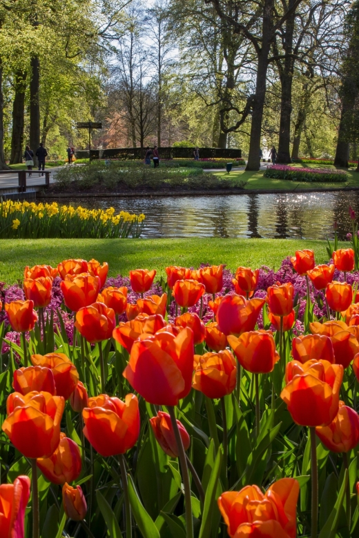 Amsterdam: Tour to Keukenhof Gardens with Windmill Cruise - Key highlights you’ll actually care about