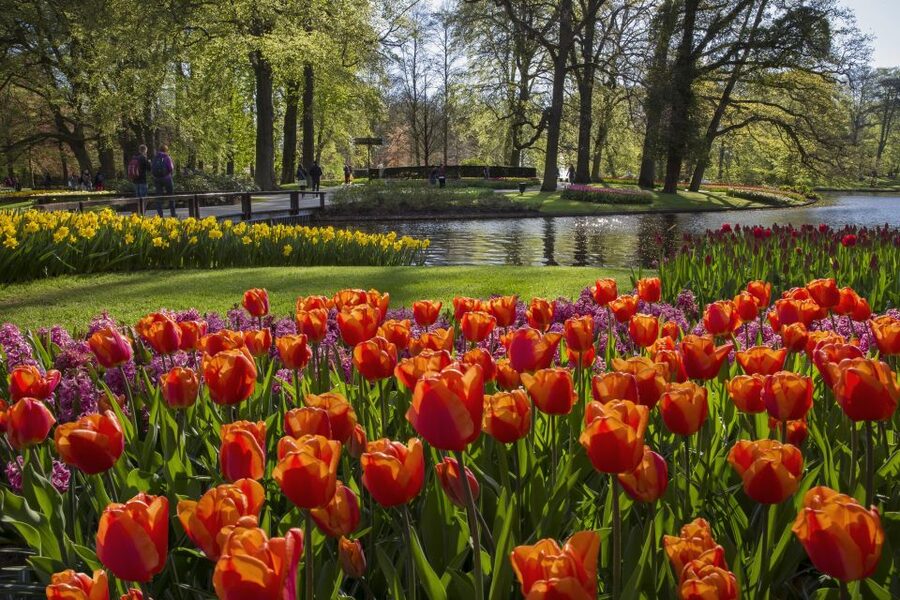 Amsterdam: Tour to Keukenhof Gardens with Windmill Cruise - Keukenhof Gardens: how to use your free time well