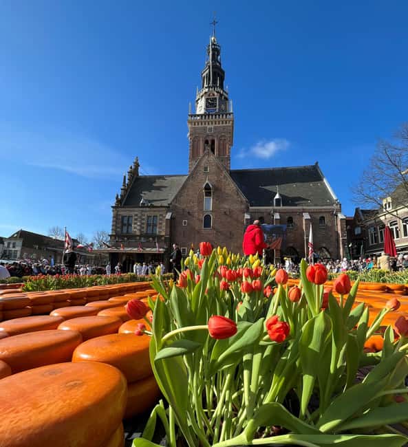 Amsterdam: Traditional Cheese Market Tour to Alkmaar - Key highlights at a glance