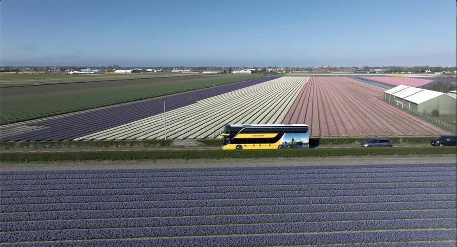 Amsterdam: Tulip Farm Visit, Keukenhof, and Windmill Cruise - Should you book? My call