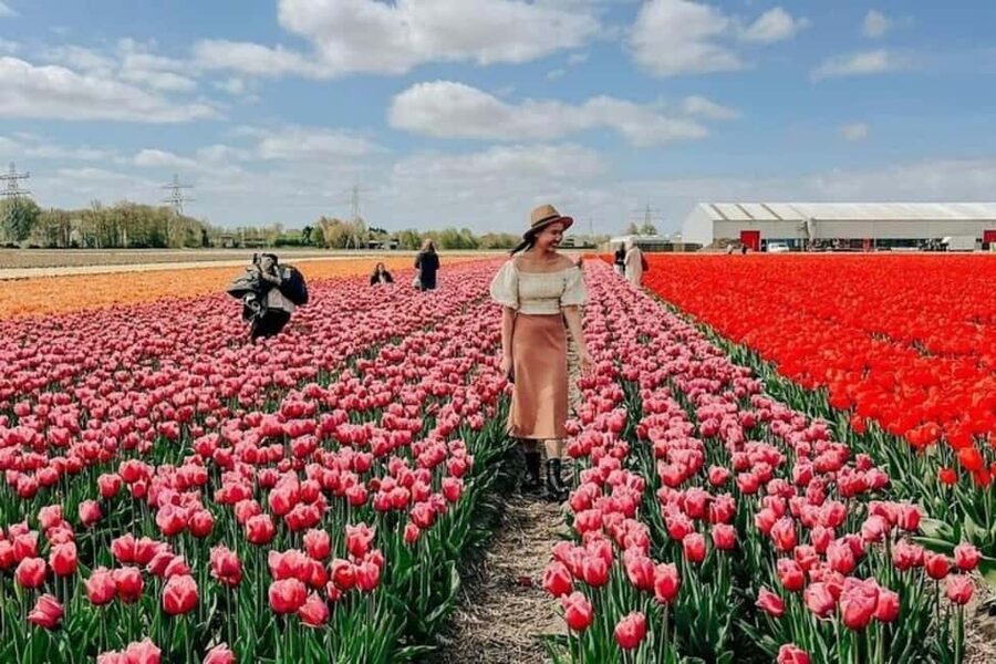 Amsterdam: Tulip Farm Visit, Keukenhof, and Windmill Cruise - A full day of tulips, not just a photo stop