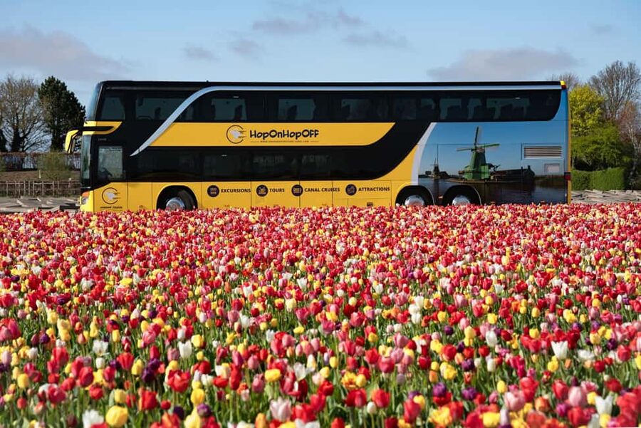 Amsterdam: Tulip Farm Visit, Keukenhof, and Windmill Cruise - Keukenhof: how to enjoy the gardens when it’s busy