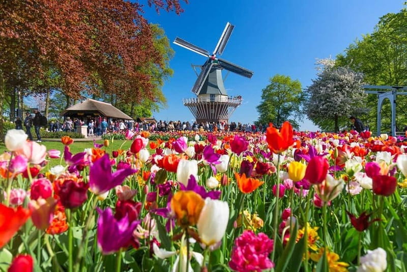 Amsterdam: Tulip Farm Visit, Keukenhof, and Windmill Cruise - Time and logistics: what the day actually feels like