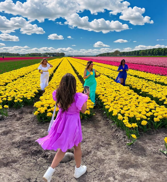 Amsterdam: Tulip Fields Day Tour with Lunch & Windmill - From Amsterdam to North Holland without the tourist grind