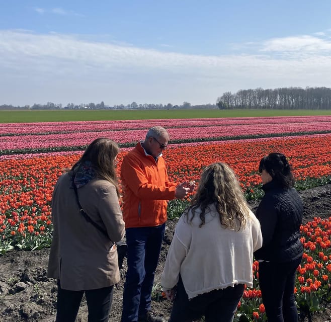 Amsterdam: Tulip Fields Day Tour with Lunch & Windmill - Practical tips so your day runs smoothly