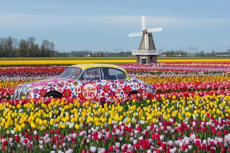 Amsterdam : Tulip Wonderland Tour - Who this tour suits best (and who might want something else)