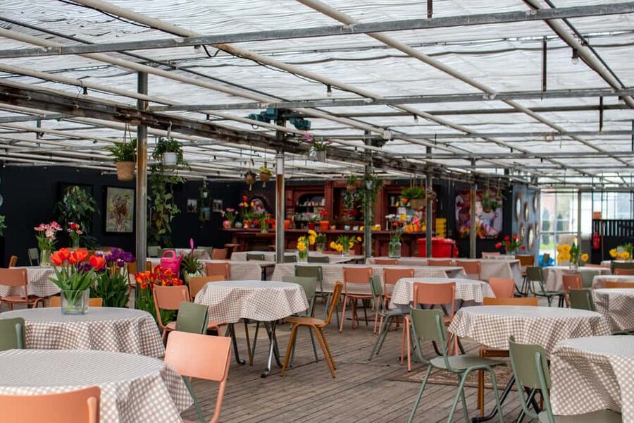 Amsterdam : Tulip Wonderland Tour - What you can do during your 2 hours at the Tulip Barn