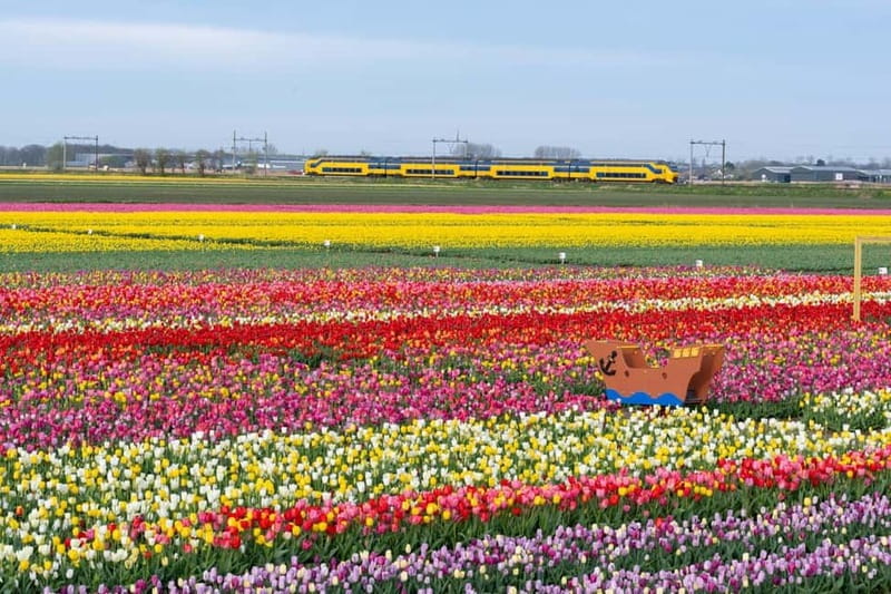 Amsterdam : Tulip Wonderland Tour - Arrival timing and why it affects your photos
