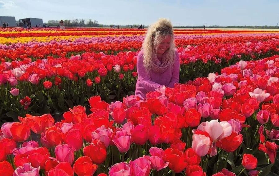 Amsterdam : Tulip Wonderland Tour - Price and value: is $37 worth it?