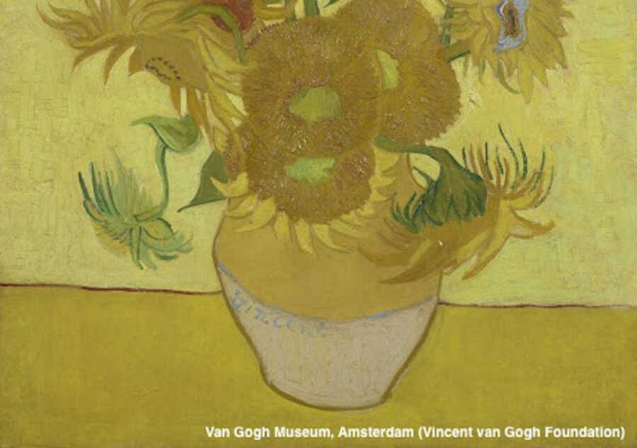 Amsterdam: Van Gogh Museum Guided Tour with Entry - Meeting Paulus Potterstraat 7 and getting in without losing time