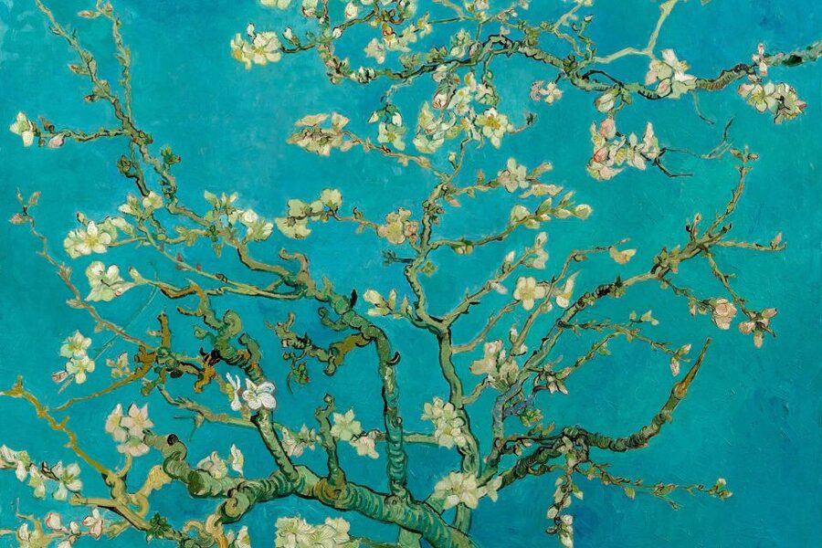 Amsterdam: Van Gogh Museum Ticket and City Canal Cruise - What You’ll See Inside: Storytelling Layout Over a Checklist