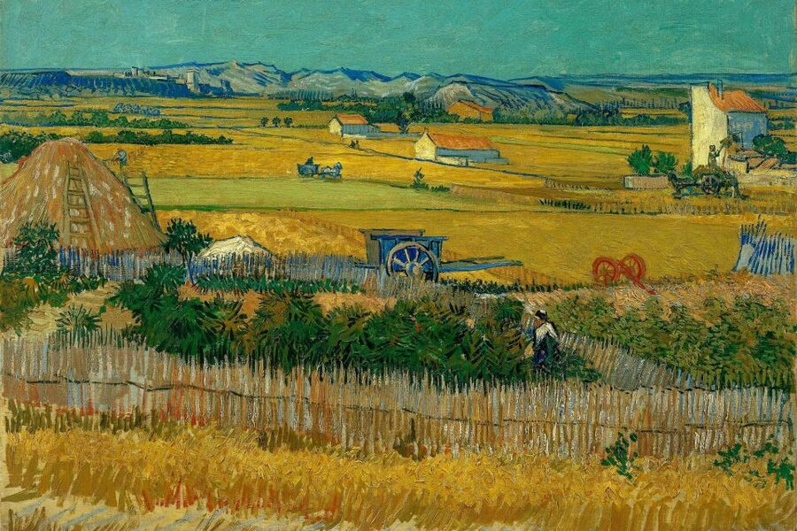 Amsterdam: Van Gogh Museum Ticket & Canal Cruise - Van Gogh Museum time slots: why this combo works on a short trip
