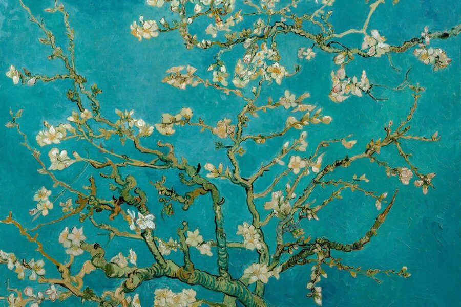 Amsterdam: Van Gogh Museum Ticket & Canal Cruise - Where to board the boat: choose your departure point for an easier day