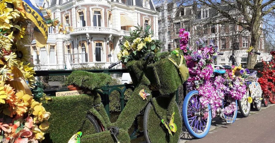 Amsterdam Walking Tour and Canal Cruise - Museum area views (Rijksmuseum and van Gogh) without a ticket day