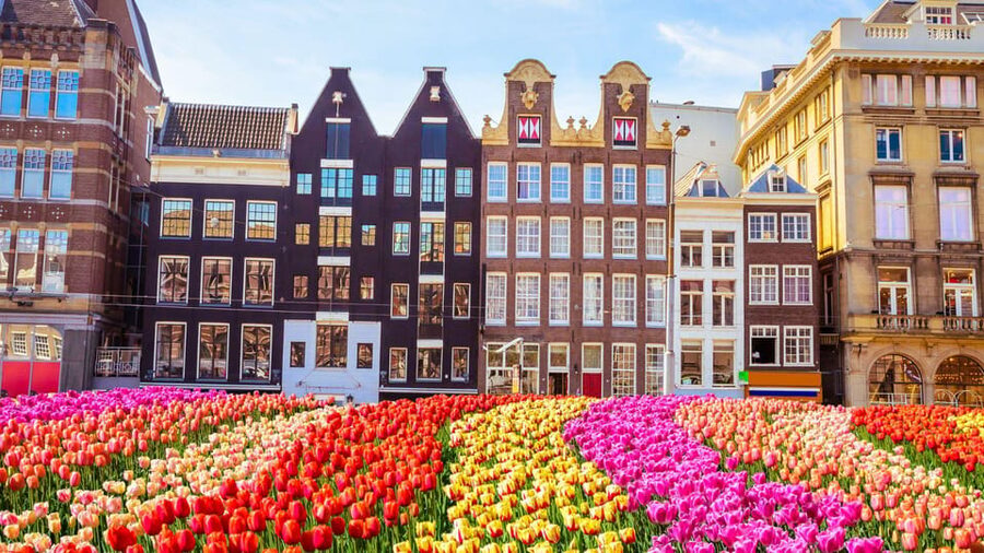 Amsterdam Walking Tour with a Local - Key things that make this tour worth your time
