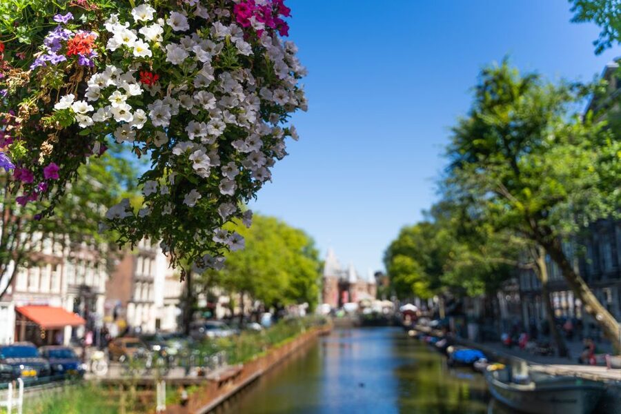 Amsterdam Walking Tour with Cheese Tasting - Who This Tour Fits Best (and Who Might Skip It)