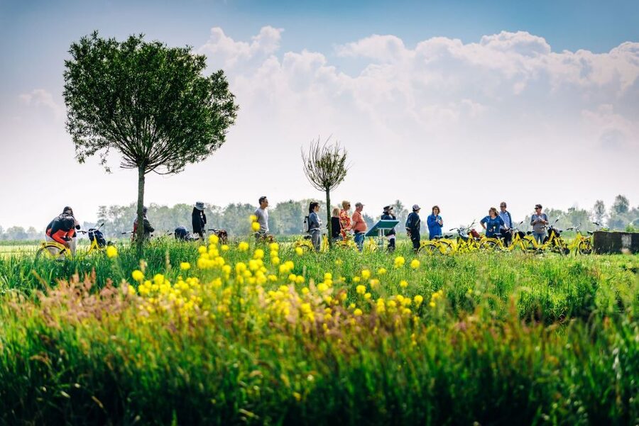 Amsterdam: Waterland District Countryside Villages Bike Tour - Price and Value: Is $57 Worth 3.5 Hours?