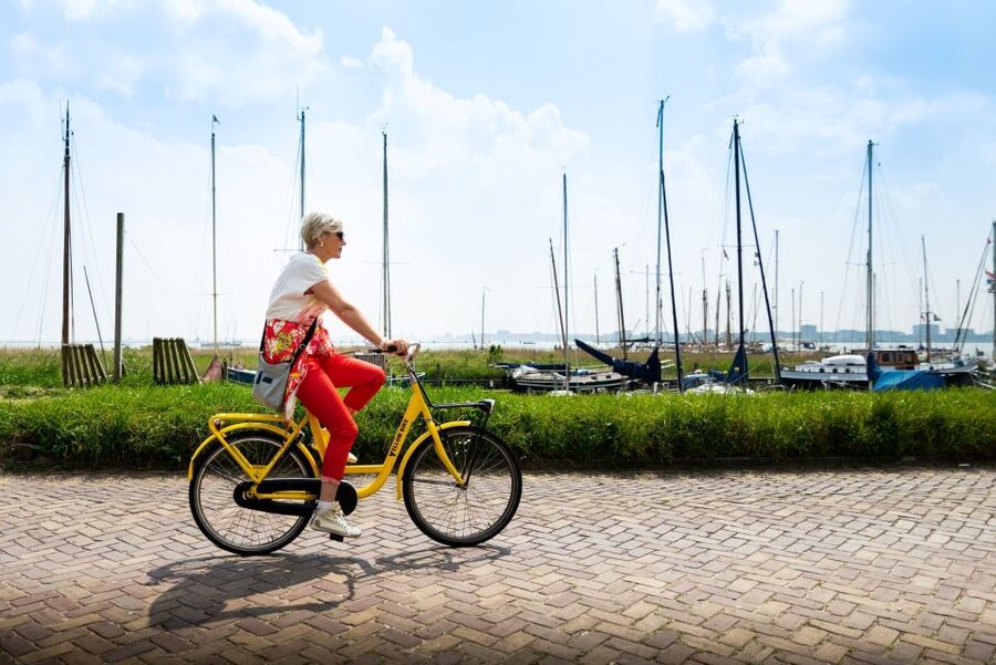 Amsterdam: Waterland District Countryside Villages Bike Tour - The First Stretch: Ferry Time and D’Admiraal Windmill Views