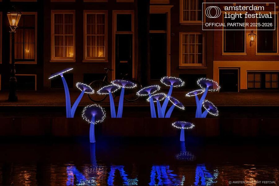 Amsterdam Winter Walking Tour - The City Center Route: Old Squares, Quiet Details